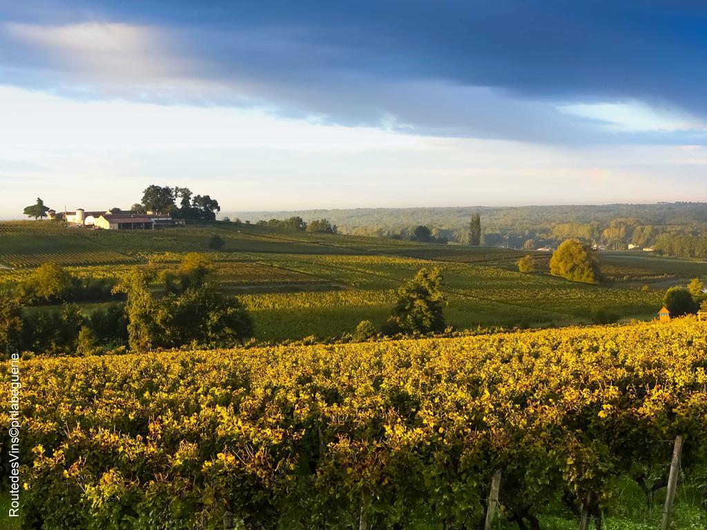 La Sauternaise, Luxury Boutique B&B Sauternes Exteriér fotografie